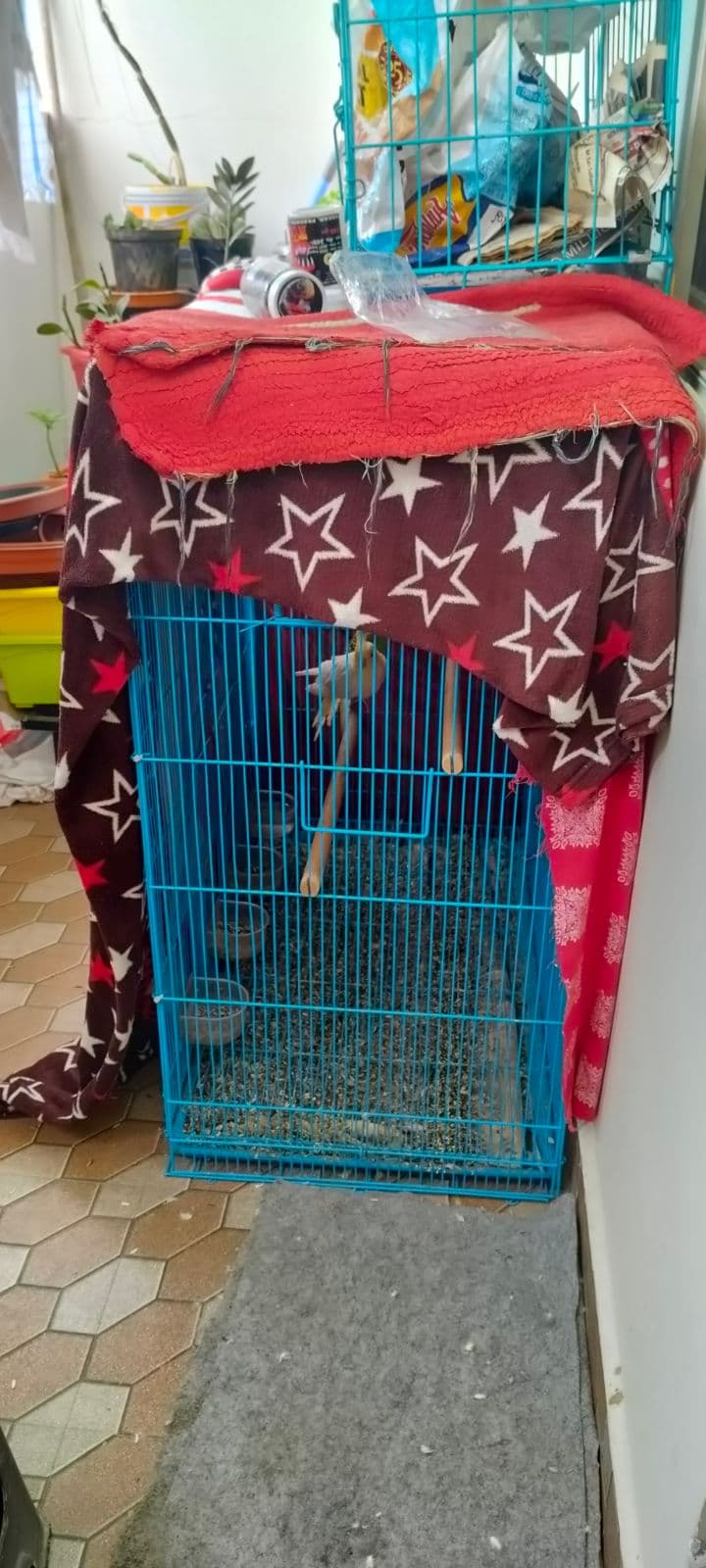 Bird cage for sale in Bangalore, Karnataka